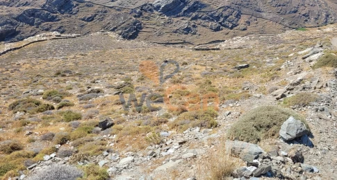 1405812 - Αγροτεμάχιο Προς Πώληση, Κύθνος, 8.400 τ.μ., €140.000