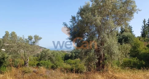 1777342 - Αγροτεμάχιο Προς Πώληση, Λευκάδα, 22.000 τ.μ., €1.100.000