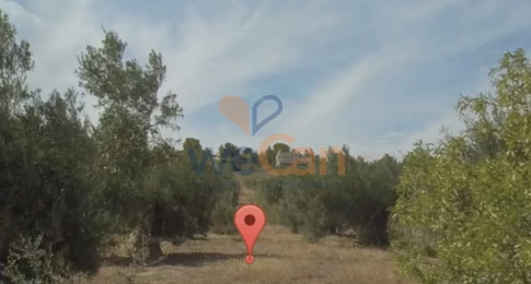 2079273 - Οικόπεδο Προς Ενοικίαση, Πικέρμι, 969 τ.μ., €350