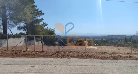 2167775 - Οικόπεδο Προς Πώληση, Ραφήνα, 567 τ.μ., €250.000