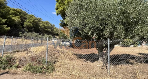 1813068 - Προς Πώληση, Μαρκόπουλο, 553,97 τ.μ., €240.000