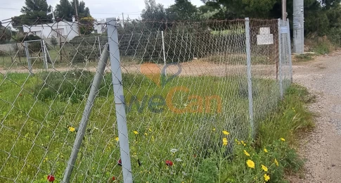 2320849 - Αγροτεμάχιο Προς Πώληση, Αρτέμιδα (Λούτσα), 301 τ.μ., €55.000