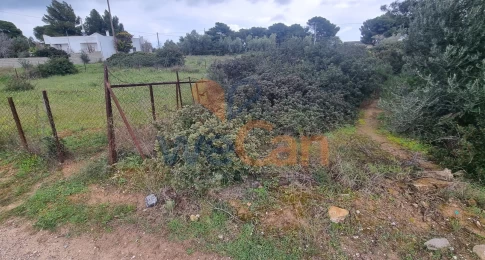 2320847 - Αγροτεμάχιο Προς Πώληση, Αρτέμιδα (Λούτσα), 225 τ.μ., €40.000