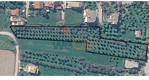 2451154 - Οικόπεδο Προς Πώληση, Βόχα, 3.934 τ.μ., €220.000