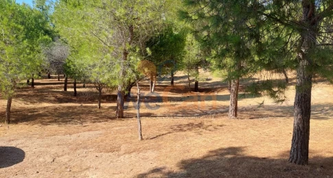 2539027 - Maisonette For sale, Vouliagmeni, 131 sq.m., €980.000