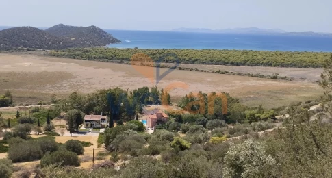 2565338 - Plot of Land For sale, Marathonas, 1.045 sq.m., €100.000