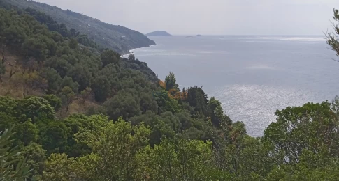1096720 - Parcel For sale, Skopelos, 10.865 sq.m., €300.000
